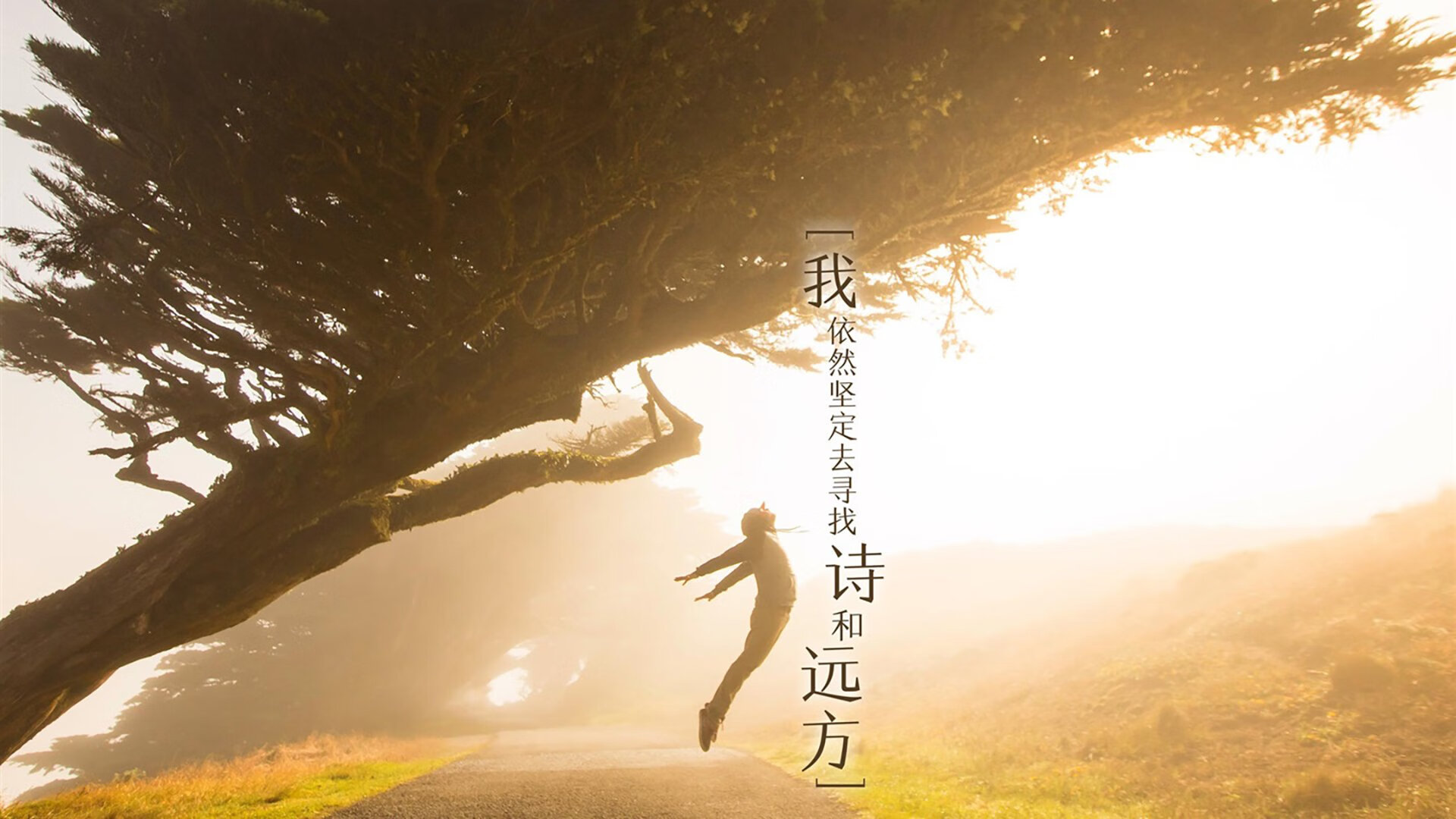 《电竞行业的绿色发展：绿色认证、低碳办赛理念推广》，电竞产业生态