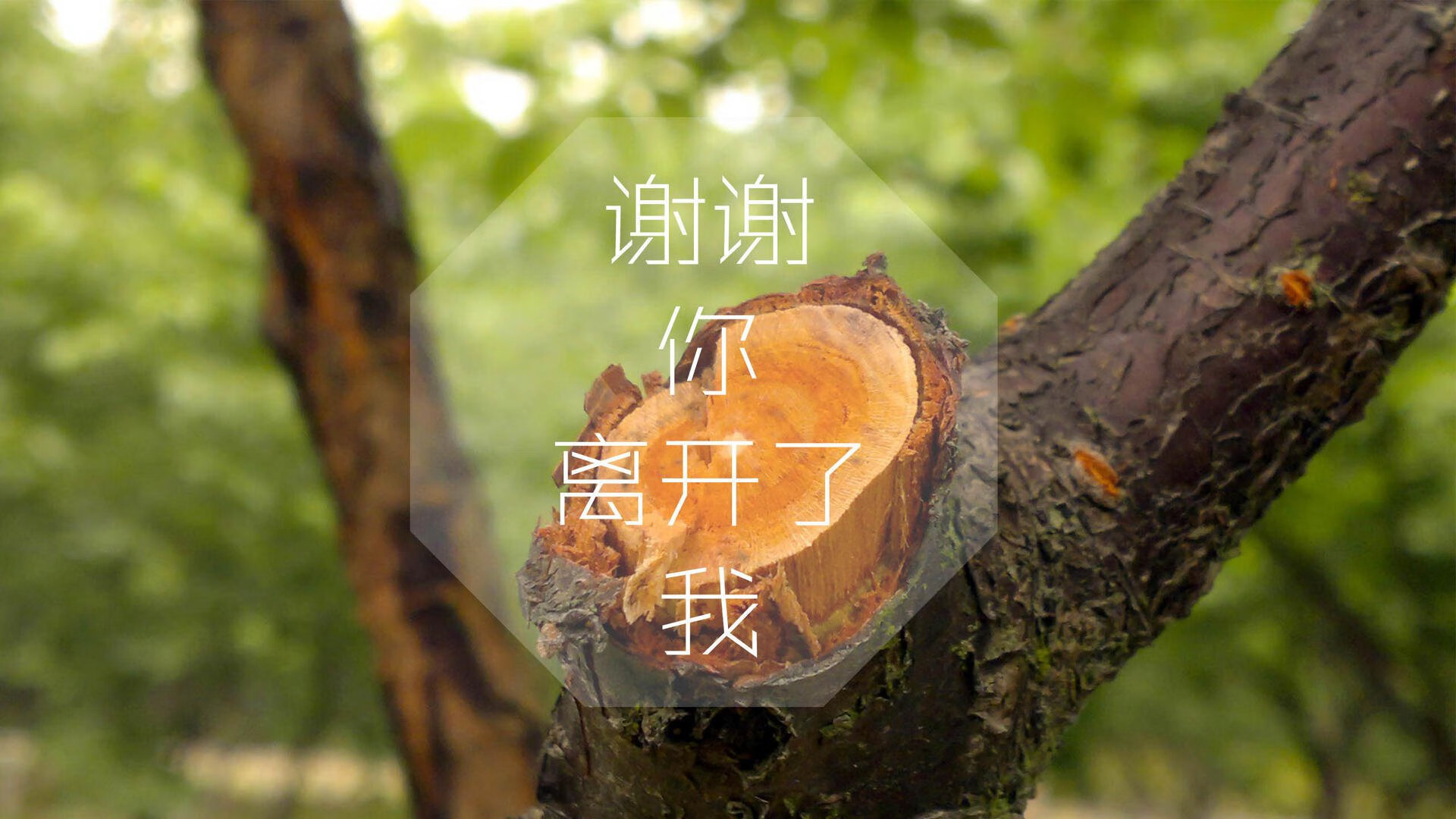 青年先锋：新兴力量带来新气象，新兴青年群体开展什么活动