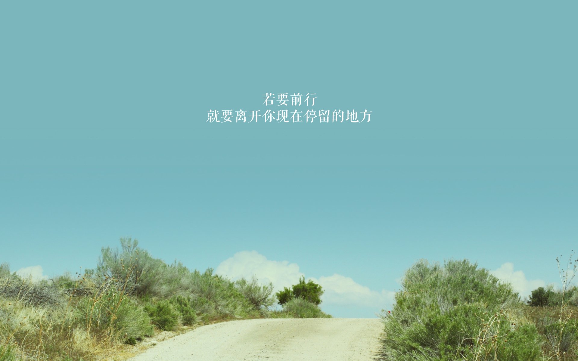 中国篮球运动社区联赛发展，社区杯篮球赛