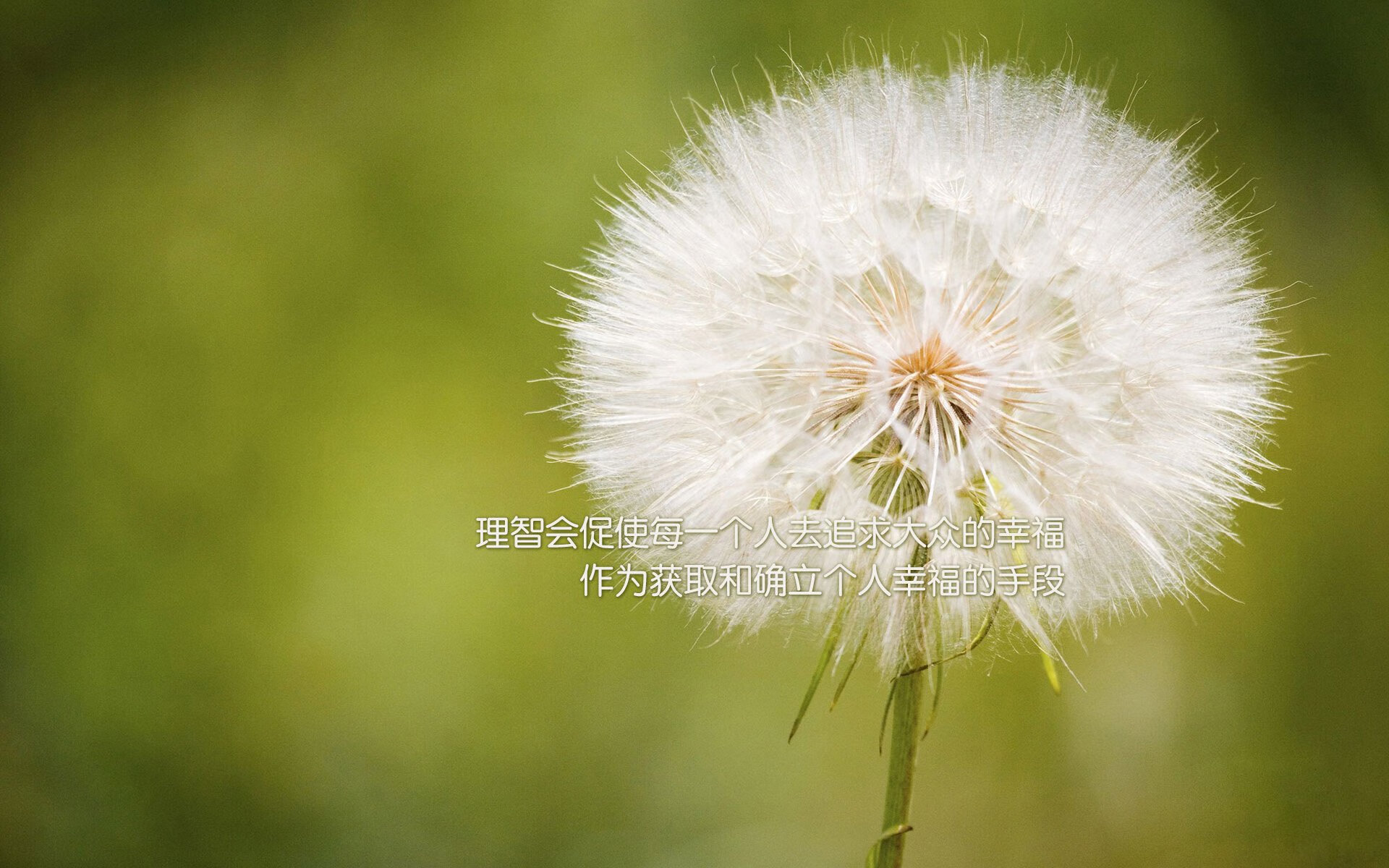 kaiyun体育综合-埃弗顿球员内讧，扰乱球队内部秩序，埃弗顿进球