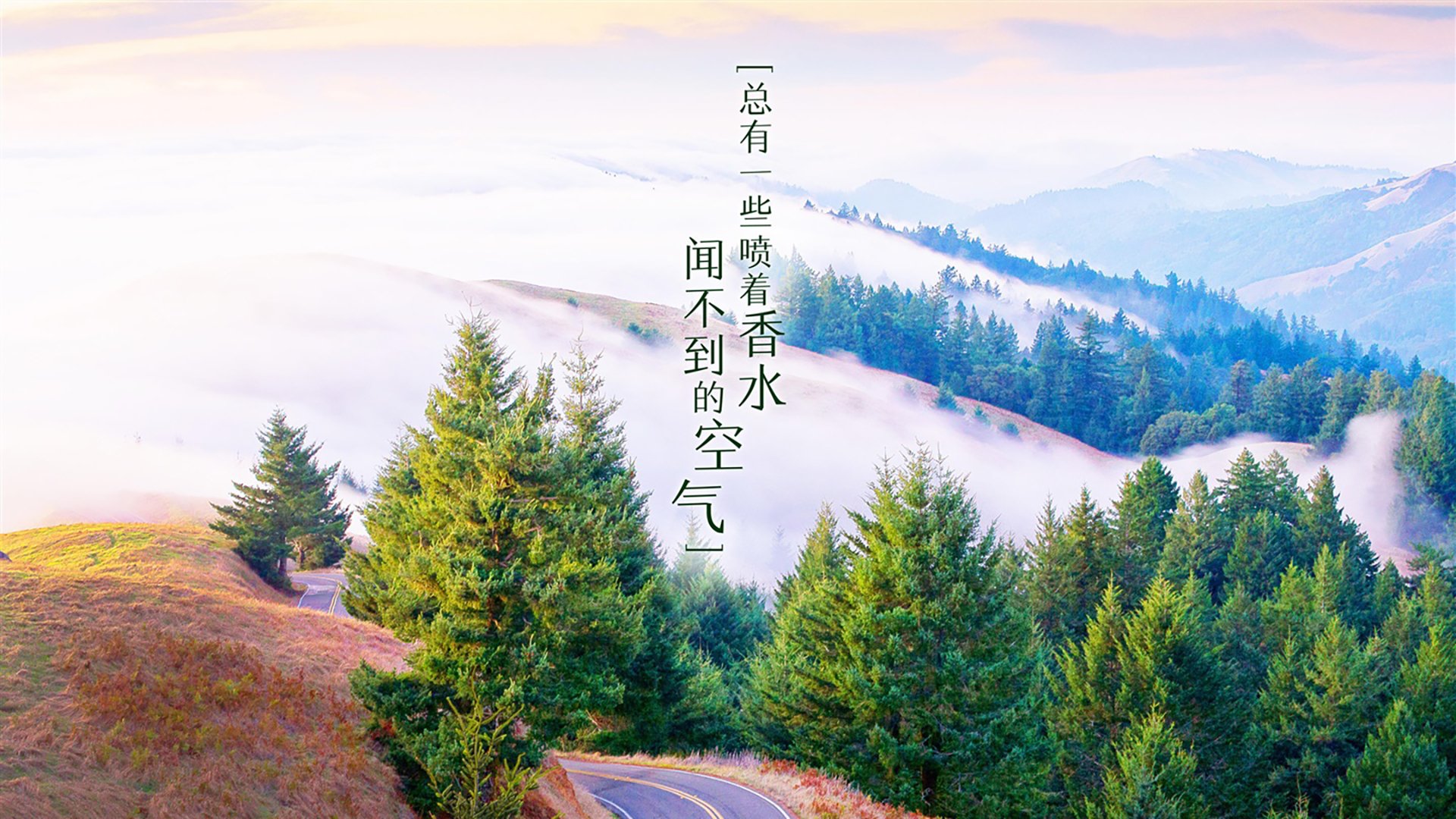 意大利足球比赛倒计时，球迷期待激动人心，意大利足球最近大赛成绩