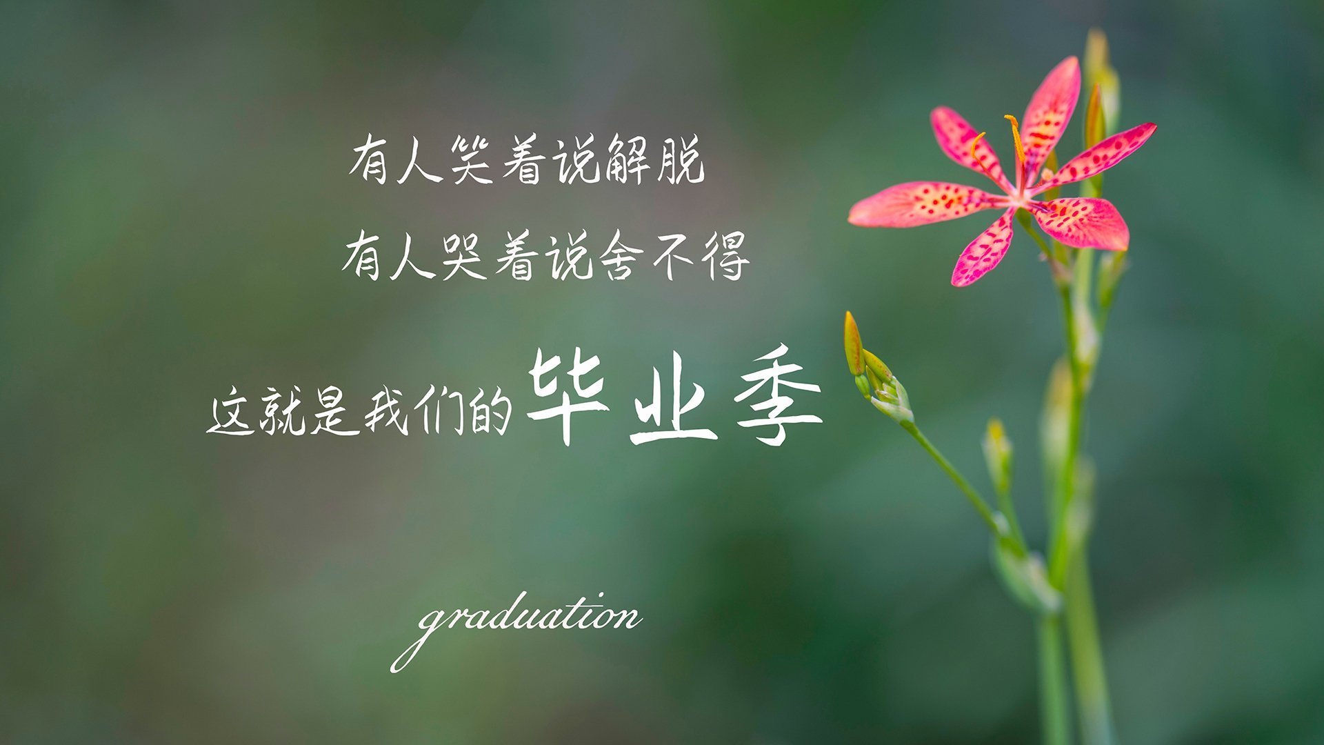 全国青少年网球排名赛落幕 新人表现亮眼，全国青少年网球排名官网
