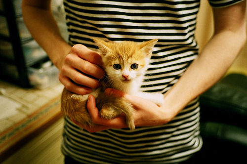 纽卡斯尔中锋背身支点作用明显，纽卡斯尔主客场球衣