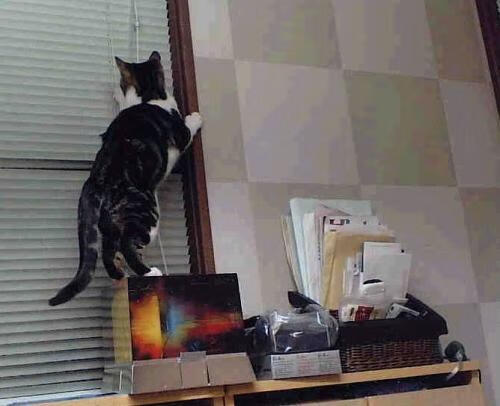 边后卫高度跑动与球队攻防转换速率关系，边后卫可以满场跑吗