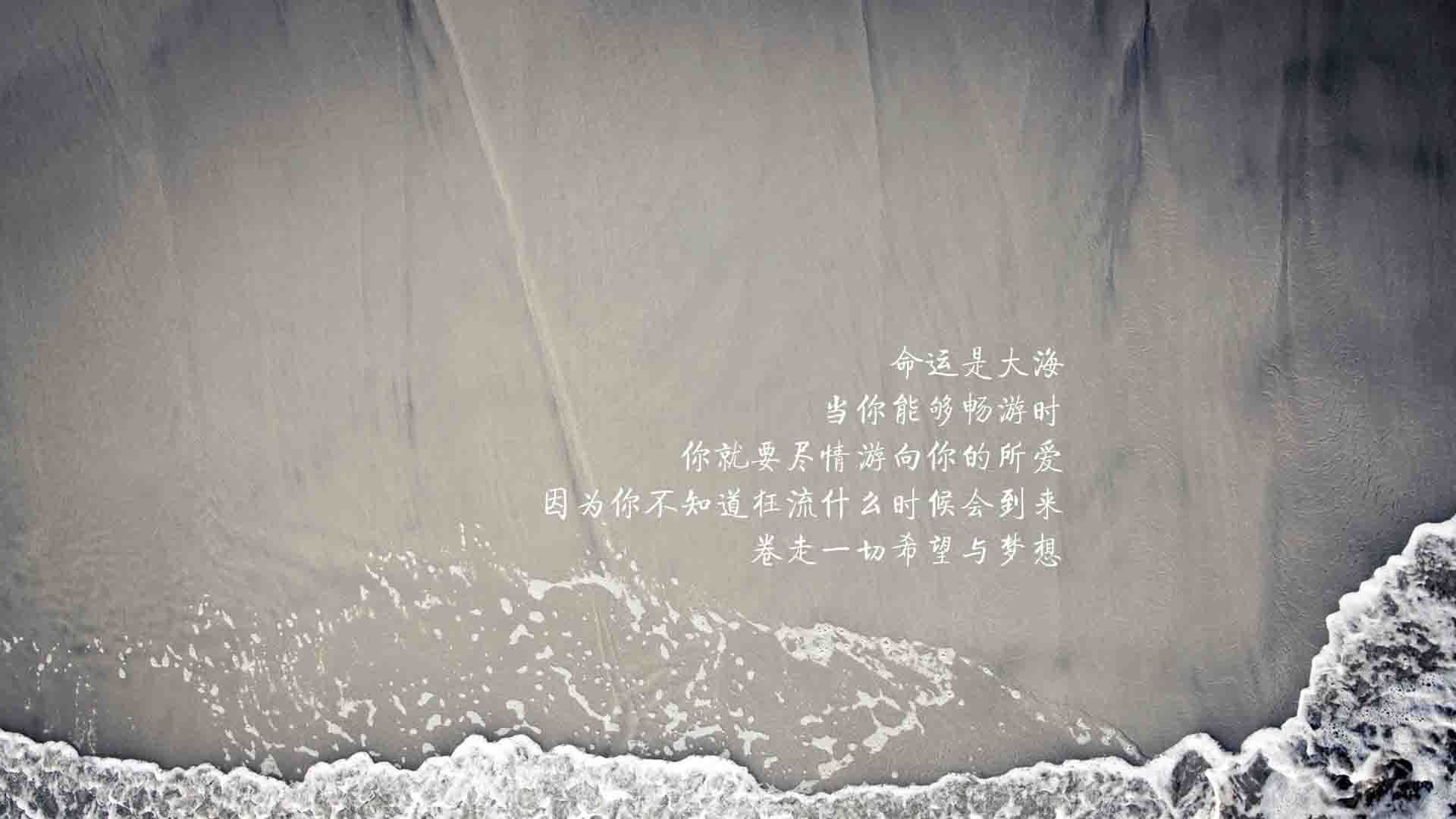 德甲节奏快如闪电：攻守互换，场面火爆！，德甲打法