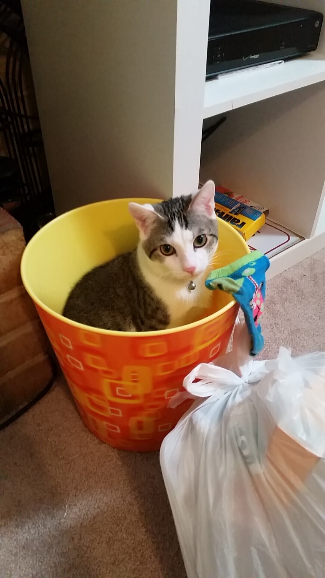 开云网站-浓眉表示愿承担更多防守责任，浓眉几次最佳防守球员