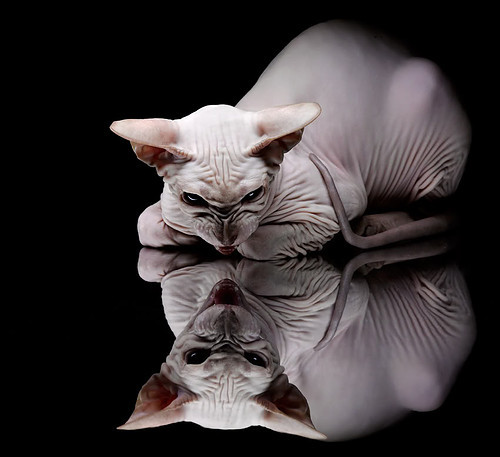 浓眉表示愿承担更多防守责任，浓眉几次最佳防守球员